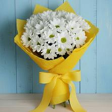 Букет цветов из:  Хризантемы в Нижней Шиловке