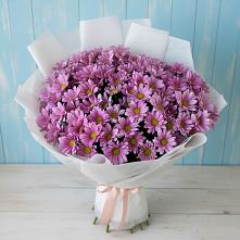 Букет цветов из:  Хризантемы в Нижней Шиловке