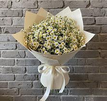 Букет цветов из:  Ромашки в Нижней Шиловке