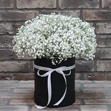 Цветочная композиция из Гипсофила в шляпной коробке #REPLACE_PRED# Нижней Шиловке