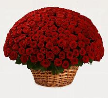 Премиум букет из: Розы #REPLACE_PRED# Нижней Шиловке